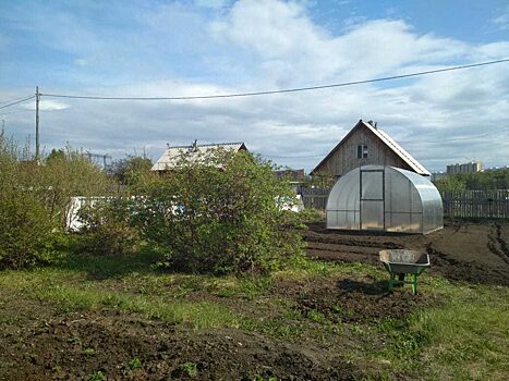 Садоводы смогут обновить сети и дороги за счет бюджета Красноярского края