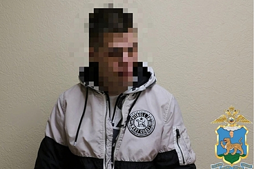 В Пскове задержан курьер мошенников, действовавших по схеме «Ваш родственник попал в ДТП»