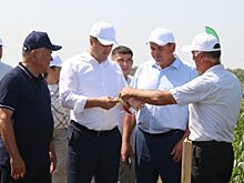 Стратегии жатвы и экспорта башкирского агропрома обсудили на Дне поля