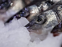 Торговле грозят новые меры госрегулирования