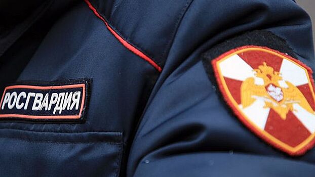 Росгвардейцы задержали вологжанина, угнавшего от кафе чужой автомобиль