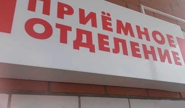 В Воронежской области 221 человеку потребовалась медпомощь после укусов клещей