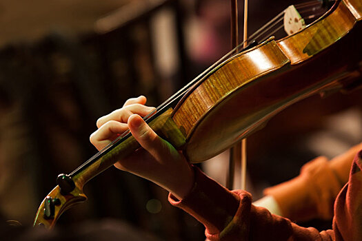 Музыканты смогут оформлять паспорта на свои скрипки для вывоза за границу