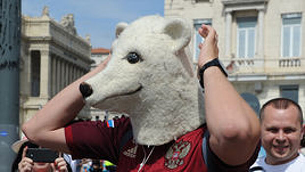 "Это жестоко, бесчеловечно и опасно". Зоозащитники – против медведя в российском футболе