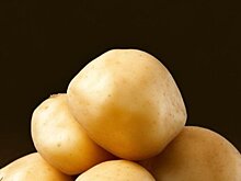 Фермер обработал картофель тепличным инсектицидом и получил остаток в клубнях вместе с нареканием инспекции