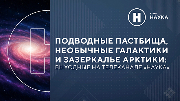 Подводные пастбища, далекие галактики и зазеркалье Арктики: выходные на канале «Наука»