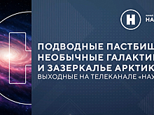 Подводные пастбища, далекие галактики и зазеркалье Арктики: выходные на канале «Наука»