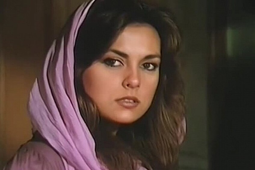 В 1981 году Айдан выиграла конкурс красоты и стала «Мисс Турция».