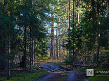Подвижные пункты управления БПЛА появятся в нижегородских лесах