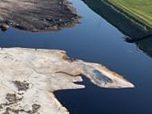 В Волгоградской области завершился 19-й слет юных экологов и лесоводов