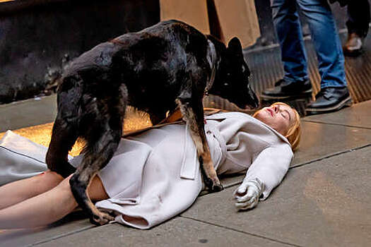 Актриса Николь Кидман упала на съемках триллера