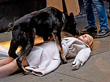 Актриса Николь Кидман упала на съемках триллера