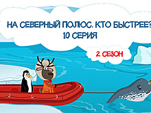 Дети Арктики. На Северный полюс. Кто быстрее? 2 сезон, 10 серия