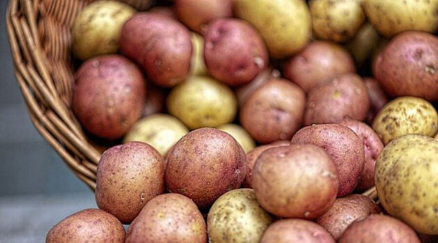 Под предлогом стабилизации цен на полки магазинов в России пустят картофель как горох