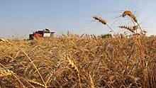 Посол Украины Боднар: Зерновая сделка не предусматривает выполнение требований РФ
