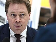 Овсянникова исключили из ЕР из-за скандала в аэропорту