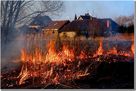 Спасатели заявили о тушении 60 пожаров в Калининградской области за сутки