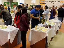 Председатель ассоциации "Народный фермер" оценил продукцию аграриев Самарской области