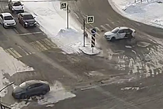 В Челябинске пассажир с собакой вылетели из попавшего в ДТП такси