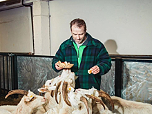 Глава пивоварни «Афанасий» рассказал, почему его объявили в розыск