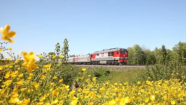 РЖД запустит новый поезд между Санкт-Петербургом и Таганрогом