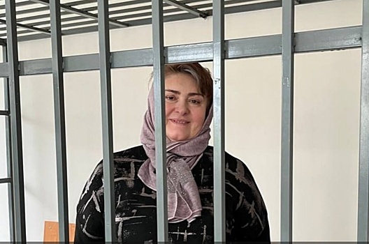Нижегородский суд оштрафовал главу «Команды против пыток»* на 100 тысяч рублей