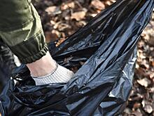 Молодые спортсмены Вологды привели в порядок территорию возле стадиона «Локомотив»