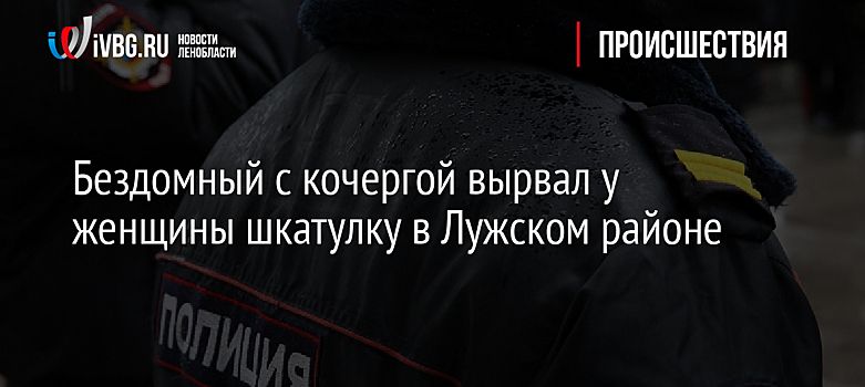 Бездомный с кочергой вырвал у женщины шкатулку в Лужском районе