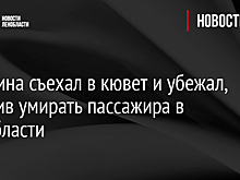 Мужчина съехал в кювет и убежал, оставив умирать пассажира в Ленобласти