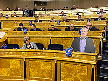На заседании закса Ленобласти появилась картонная копия депутата