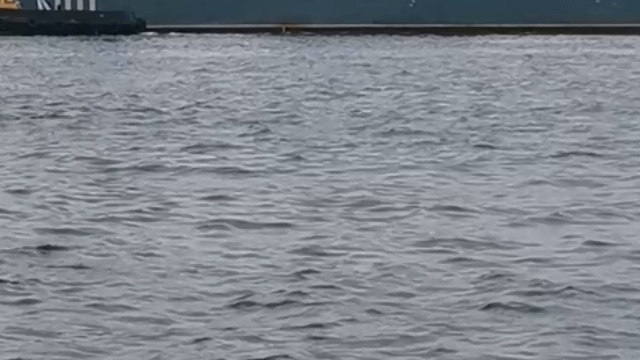 Добро пожаловать домой: как Владивосток встретил моряков ТОФ после масштабных учений