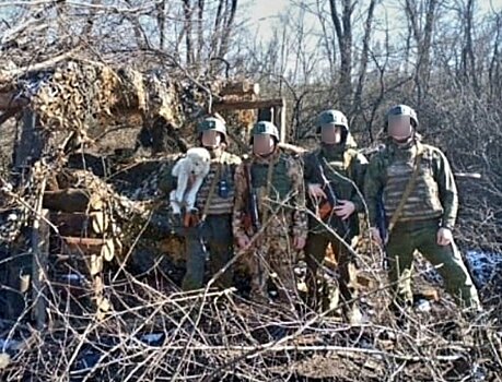 Троих участников СВО из Игринского района наградили медалями