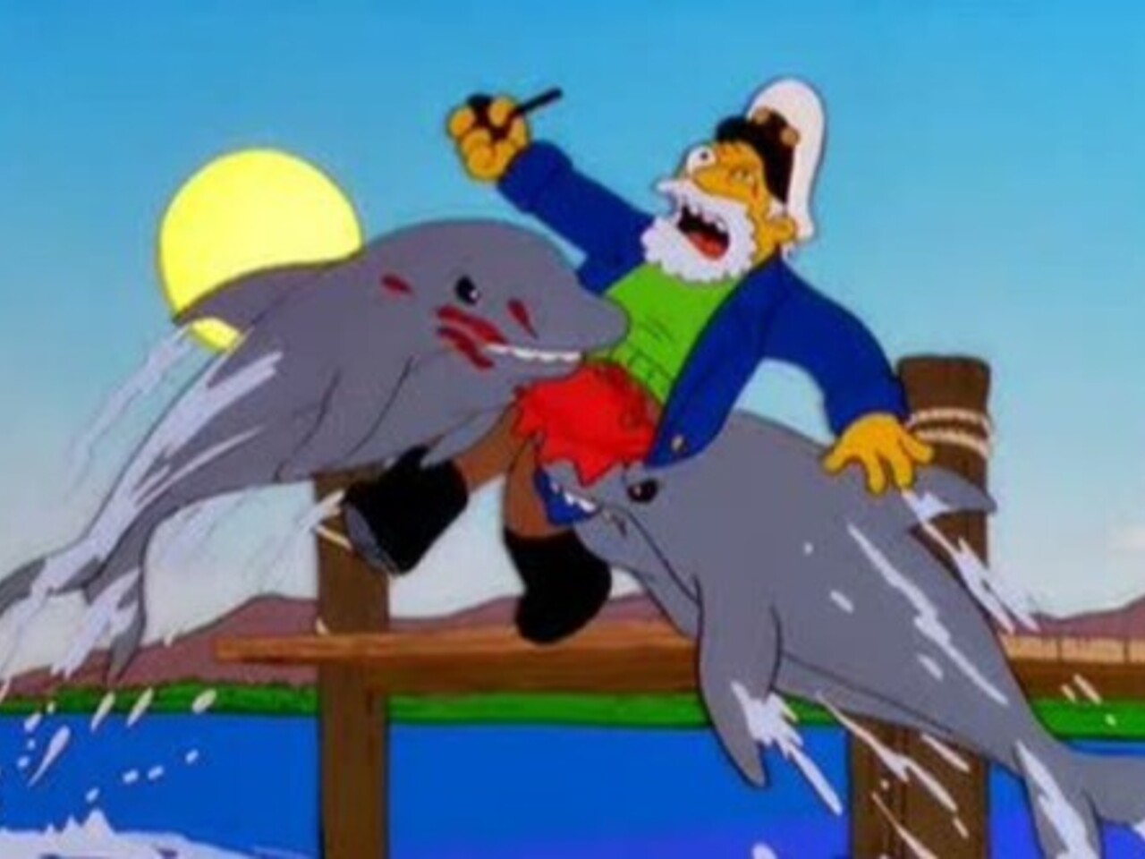 с дельфином секс  