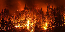 За сутки в России ликвидировали 166 лесных пожаров
