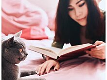 7 книг, после которых вы точно не остановитесь на пути к мечте