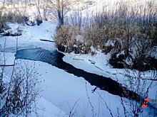 «Замечания по типу Шемура». Напуганные УГМК уральцы выступили против проекта «Полиметалла»