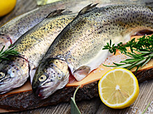 Рыба на экспорт: Армения возобновила поставки форели в Россию
