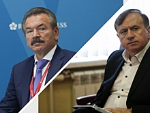 Омский предприниматель Михаил Сутягинский требует с обанкротившегося Турманидзе долг с процентами