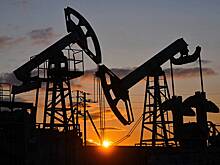 Страна ЕС признала отсутствие альтернативы поставкам российской нефти