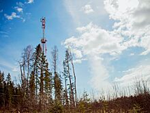 Мобильный оператор выделит 200 миллионов на улучшение связи в Костромской области