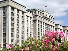 По каким округам 8 сентября доизберут депутатов Госдумы