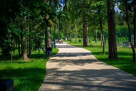 Подмосковные парки в 2021 году стали посещать чаще
