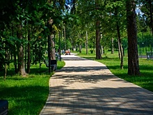 Подмосковные парки в 2021 году стали посещать чаще