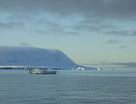 Арктические моря переносят более 13 млн тонн углерода в год в Северный Ледовитый океан