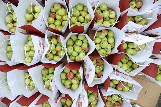 Россию заполонят фрукты из Аргентины