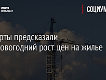 Эксперты предсказали предновогодний рост цен на жилье