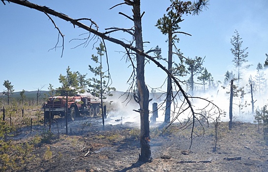 Площадь лесных пожаров в Забайкалье вновь увеличивается