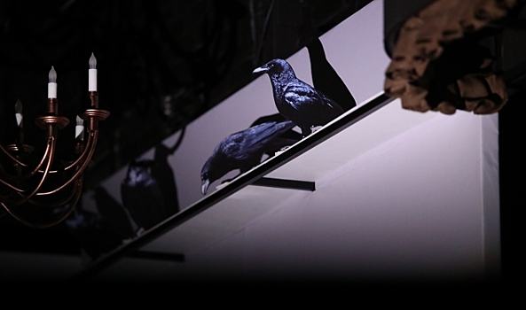 Лже-целительница из Волгограда вернет 260 тысяч рублей за обряд «очищения» денег