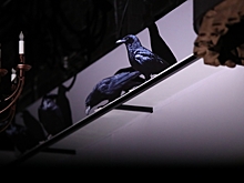 Лже-целительница из Волгограда вернет 260 тысяч рублей за обряд «очищения» денег