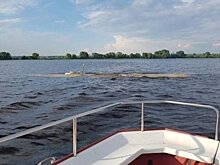 Владелец затонувшего в Казани судна добровольно явился в СК